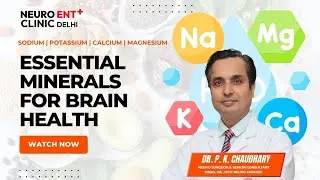 Essential Minerals For Brain Health | NeuroENT Clinic Delhi