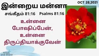 Arise and Shine|Today bible verse and message in Tamil|சங்கீதம் 81:16| Ps 81:16|Oct 28|Bible Verse