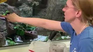Aquarist Amanda Murray | Career Chat