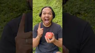 Lifehack skills: Removing apple stickers 🍎🍅#camping #lifehack #survival #bushcraft #outdoors