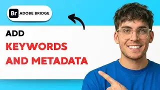 How to Add Keywords and Metadata in Adobe Bridge [2026 Full Guide]