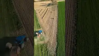 Делаем круглые тюки! #сельское хозяйство #newholland #ферма #таймлапс #фермерство #фермер #трактор
