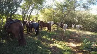 CAVALGADA DOS AMIGOS
