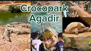 Crocopark Agadir Morocco 🇲🇦 2025