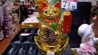Cat of Fortune