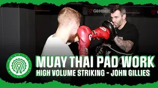 Boxing for Muay Thai - High Volume Striking for Small Glove Fights with John Gillies