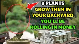 Secretly Plant These 8 Trees Behind Your House, Wealth Will Flood In, Live In Luxury And Prosperity