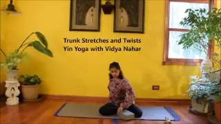 Timed Yin Yoga - 70 Minute Practice with Vidya Nahar