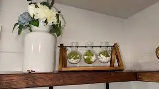 XXXFLOWER Plant Terrarium with Wooden Stand - Amazon