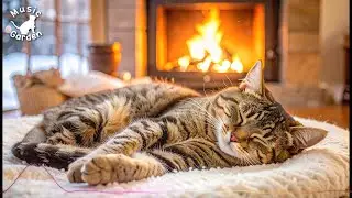 Calm Piano for Sleeping Cats 🐾 | By the Cozy Fireplace 🔥 — Relax & Sleep 🎹（猫のためのやさしいピアノ｜暖炉のそばで）