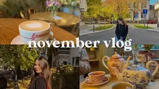 fall vlog: foliage, coffee shops, cats, and lots of food