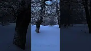 Snow Obsession 😍 #vibewithchennaipaiyan #chennaipaiyan #tamil #riga