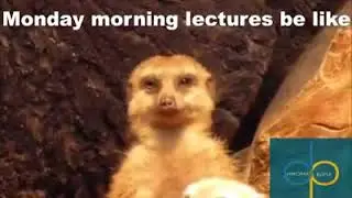 STUDENTS @ MONDAY MORNING WHATSAPP STATUS FUNNY