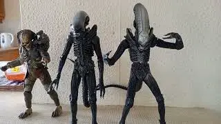 NECA Alien VS Predator 2 Pack (2011) Review BOOTLEG!!!