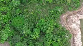 DJI 0175 Forest Trail 1-14-26