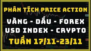 ✅ Ph&acirc;n T&iacute;ch V&Agrave;NG - DẦU - FOREX - USD INDEX - CRYPTO Theo Price Action Tuần 17-23/11 | TraderViet