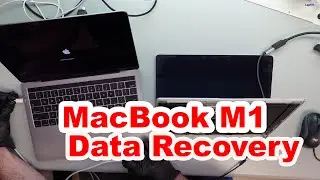 Reviving a Dead M1 MacBook Air for Data Recovery