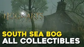 Hogwarts Legacy South Sea Bog All Collectible Locations