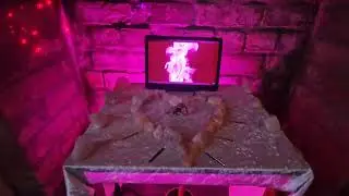 Rose Pink Flame Valentines Messages Of Love💖⚘️ #rose pink flame #valentines #messages #love