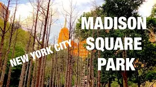 [4]🇺🇸NYC WALKING TOURS: Walking to Madison Square Park via 5th Ave midtown New York City