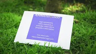 Five Photo Placeholders on Forest Floor video ads / trailer