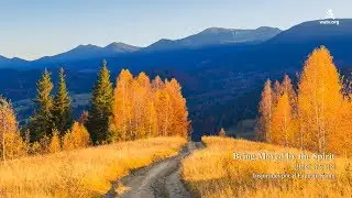 〖NEW SONG〗Being Moved by the Spirit | 성령에 감동되어 ▷ WMSCOG 하나님의교회 세계복음선교협회