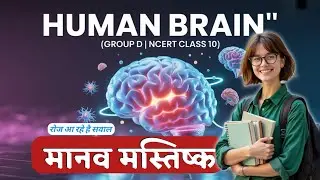 Human Brain ||मानव मस्तिष्क || Quick Revision Important For Group D #science #humanbrain #groupdexam