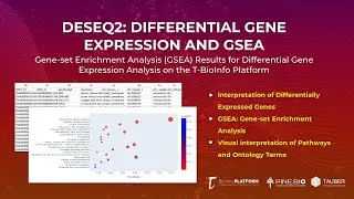 Differential Gene Expression Gene Enrichment Analysis (Output Review)