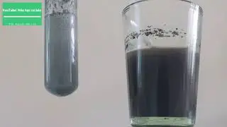 #90 | H2S + AgNO3 | hydrogen sulfide + Silver nitrate💚