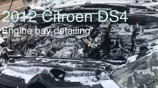 2012 Citroen DS4 engine bay detailing | ASMR