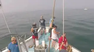 Miss Montauk Fluke 2023-7-08