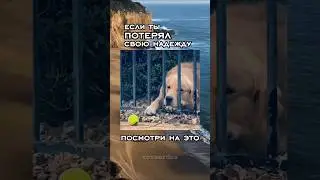 Твой знак свыше #природа #мудрыеслова #мудрыемысли