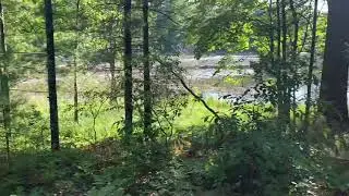 Development Projects- Idlewild, Michigan  The Rebirth of Idlewild&rsquo;s Black Eden in the Making 2021