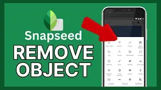 How to Remove Objects in Snapseed 2024?