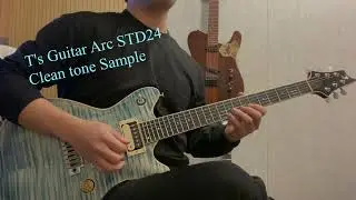 T's Guitar - Arc STD 24 Clean tone Sample _ Smooth Jazz style