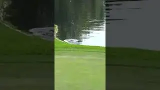 Golf ball BOUNCES out of the water! 🤯