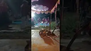 शाहिर अनिल गडदे (बाज) सांगली