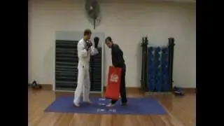 How to hold a Kick Shield Properly
