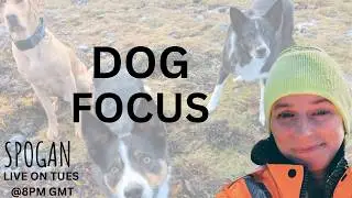 Spogan online dog training - kind & calm  is live