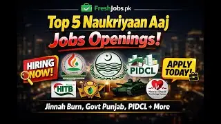 Top 5 Jobs Openings Aaj | Govt Punjab, Jinnah Burn, PIDCL & HITB Jobs 2026
