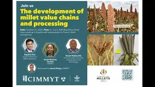 The development of millet value chains and processing. Oct 31st, 2023