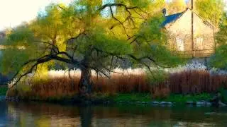 Cascade by b88 a.k.a. Beeson Keys (piano instrumental)