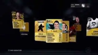 NHL 16 collection Packs