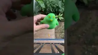 Hit the chicken revenge 2😱😱😱 #shorts  #squishy #squeeze  #satisfying