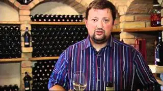 Sauvignon Blanc 2009 des Weingutes Piribauer (Burgenland)
