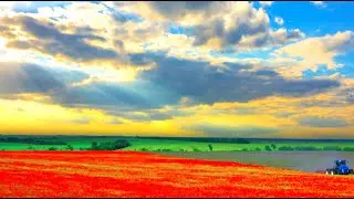 Copyright free video | No Copyright video footage | cinematic video footage | Free commercial video