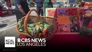 The West Los Angeles VA Medical Center hosts a resource fair for veterans