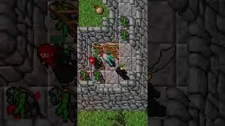 Trap no Old Tibia 7.4 💀 #tibia #rpg #tibia74 #otserv #trap #pk
