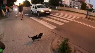 Łeba 28.7.2022 spacer #2 (z psem)