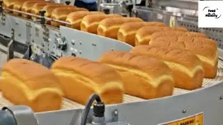 What's inside FOOD FACTORY Making MILLION DOLLAR Bread | Bread Making( Full Process)